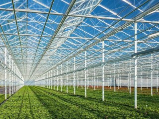Glastuinders vraag vanaf 15 april subsidie aan voor energiebesparende maatregelen