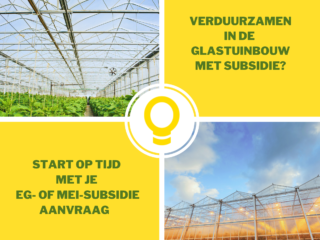 Verduurzamen van de glastuinbouw met EG- en MEI-subsidieregeling