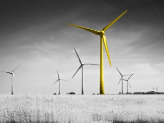 MIT Haalbaarheidsproject 2019